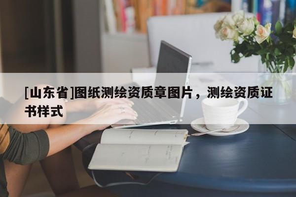 [山东省]图纸测绘资质章图片，测绘资质证书样式