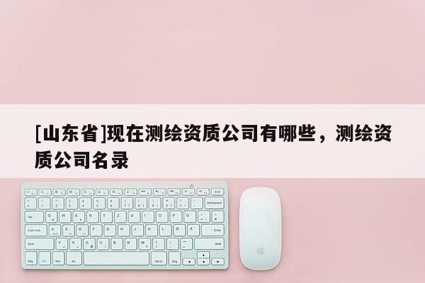 [山东省]现在测绘资质公司有哪些，测绘资质公司名录