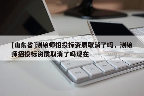 [山东省]测绘师招投标资质取消了吗，测绘师招投标资质取消了吗现在