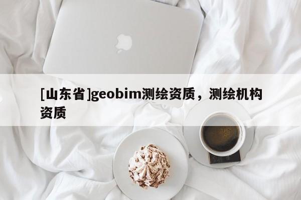 [山东省]geobim测绘资质，测绘机构资质