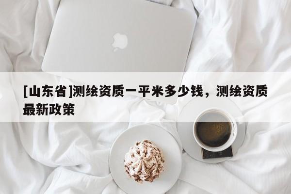 [山东省]测绘资质一平米多少钱，测绘资质最新政策