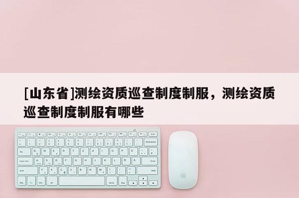 [山东省]测绘资质巡查制度制服，测绘资质巡查制度制服有哪些