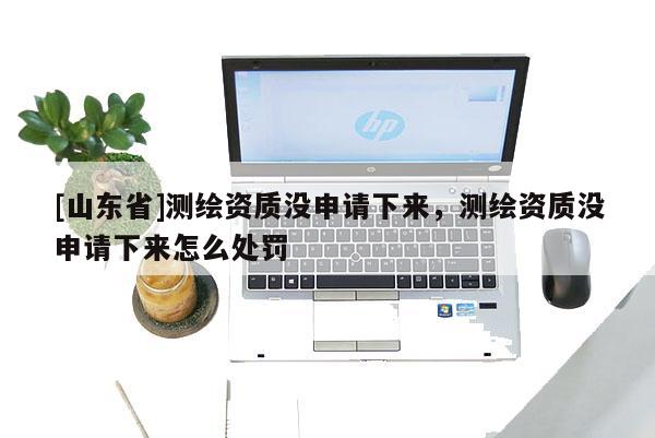 [山东省]测绘资质没申请下来，测绘资质没申请下来怎么处罚