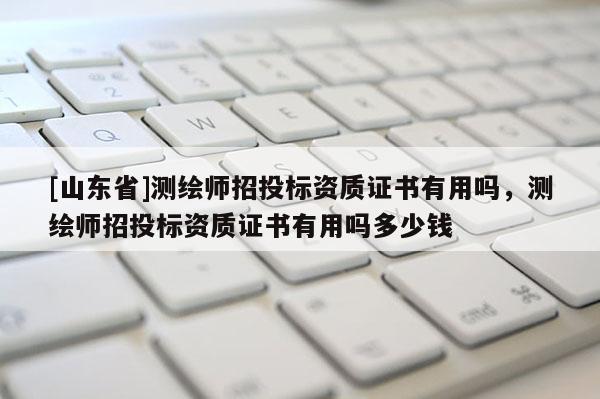 [山东省]测绘师招投标资质证书有用吗，测绘师招投标资质证书有用吗多少钱