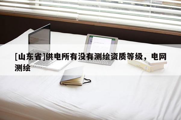 [山东省]供电所有没有测绘资质等级，电网测绘