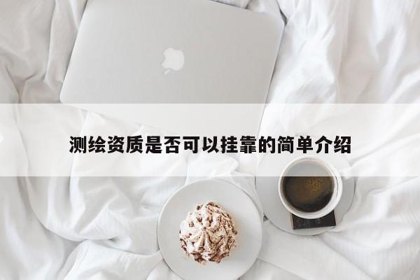 测绘资质是否可以挂靠的简单介绍