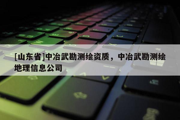 [山东省]中冶武勘测绘资质，中冶武勘测绘地理信息公司
