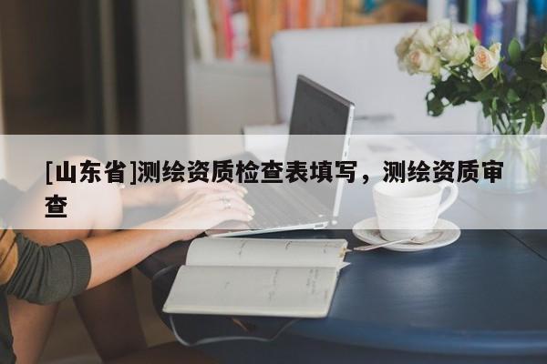 [山东省]测绘资质检查表填写，测绘资质审查