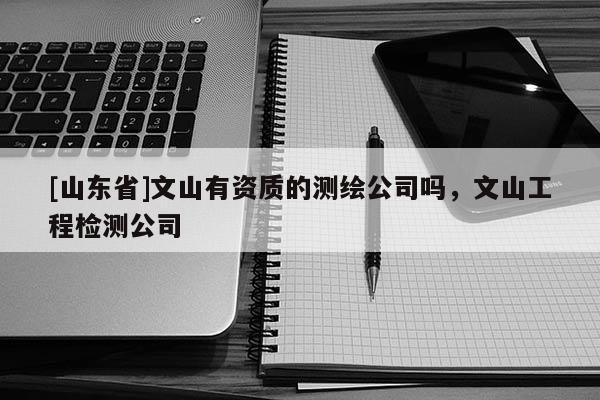 [山东省]文山有资质的测绘公司吗，文山工程检测公司