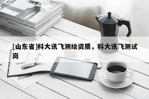 [山东省]科大讯飞测绘资质，科大讯飞测试岗