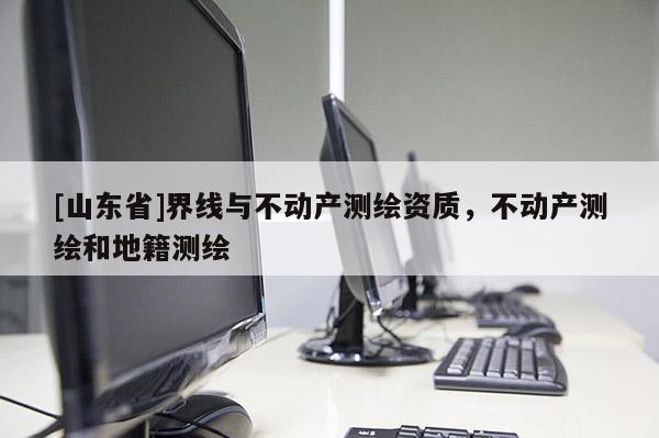 [山东省]界线与不动产测绘资质，不动产测绘和地籍测绘