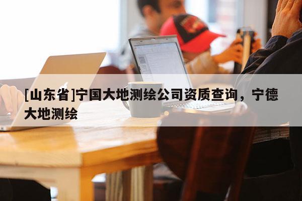 [山东省]宁国大地测绘公司资质查询，宁德大地测绘