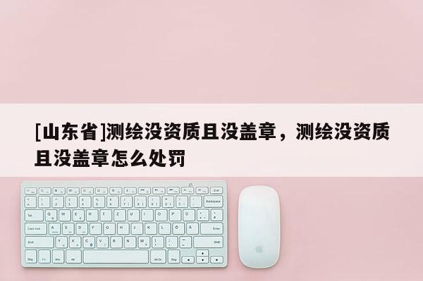 [山东省]测绘没资质且没盖章，测绘没资质且没盖章怎么处罚