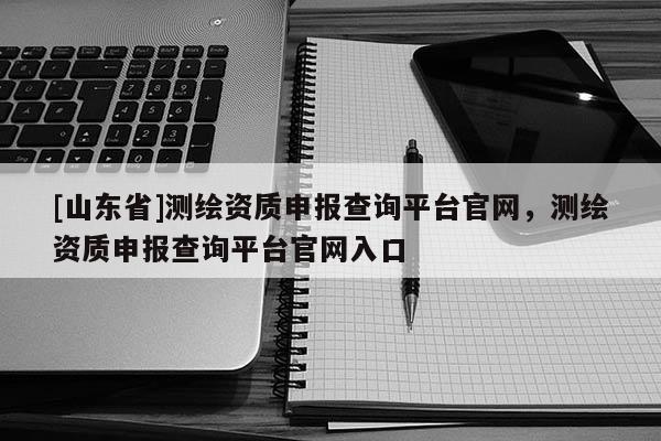 [山东省]测绘资质申报查询平台官网，测绘资质申报查询平台官网入口