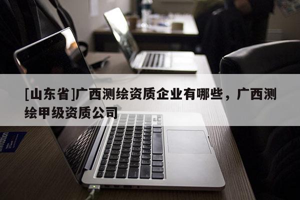 [山东省]广西测绘资质企业有哪些，广西测绘甲级资质公司