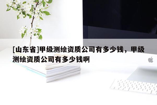 [山东省]甲级测绘资质公司有多少钱，甲级测绘资质公司有多少钱啊