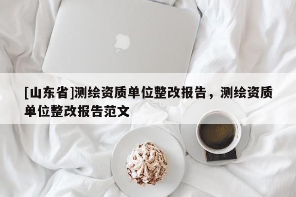 [山东省]测绘资质单位整改报告，测绘资质单位整改报告范文