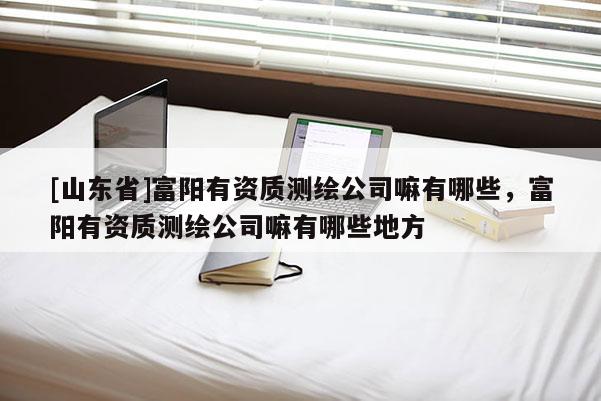 [山东省]富阳有资质测绘公司嘛有哪些，富阳有资质测绘公司嘛有哪些地方
