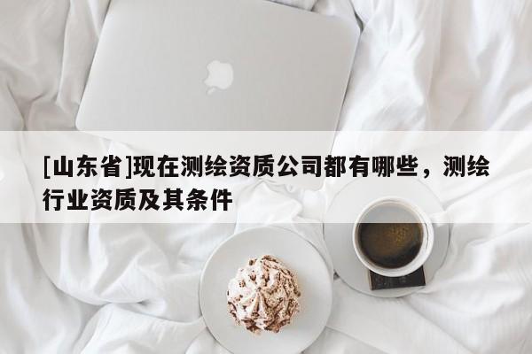 [山东省]现在测绘资质公司都有哪些，测绘行业资质及其条件