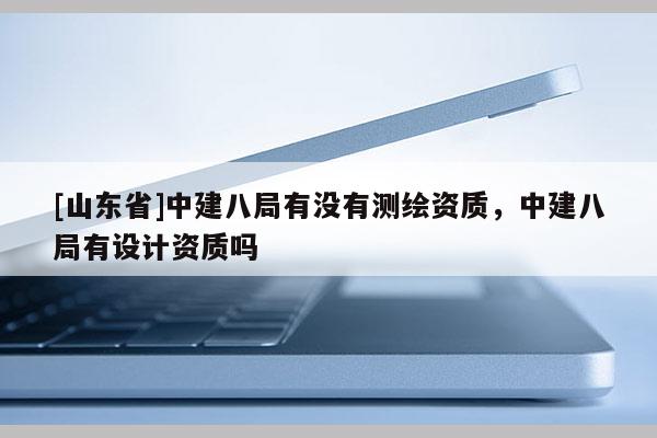 [山东省]中建八局有没有测绘资质，中建八局有设计资质吗