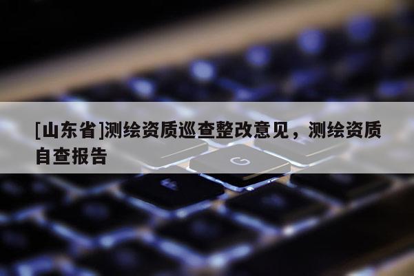 [山东省]测绘资质巡查整改意见，测绘资质自查报告