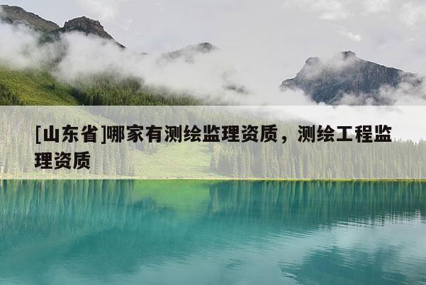 [山东省]哪家有测绘监理资质，测绘工程监理资质