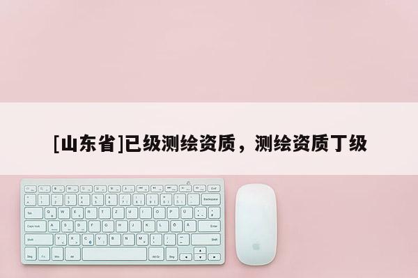 [山东省]已级测绘资质，测绘资质丁级