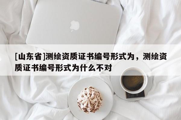 [山东省]测绘资质证书编号形式为，测绘资质证书编号形式为什么不对