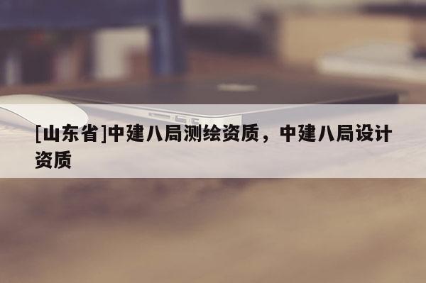 [山东省]中建八局测绘资质，中建八局设计资质