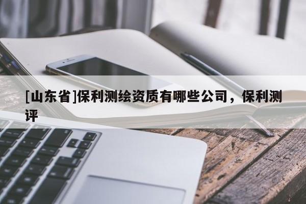 [山东省]保利测绘资质有哪些公司，保利测评