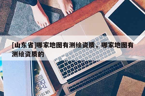 [山东省]哪家地图有测绘资质，哪家地图有测绘资质的