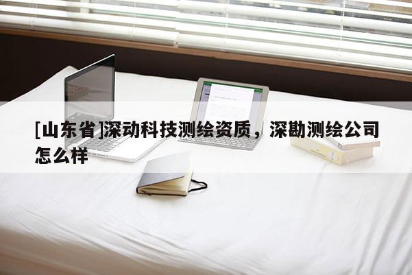 [山东省]深动科技测绘资质，深勘测绘公司怎么样