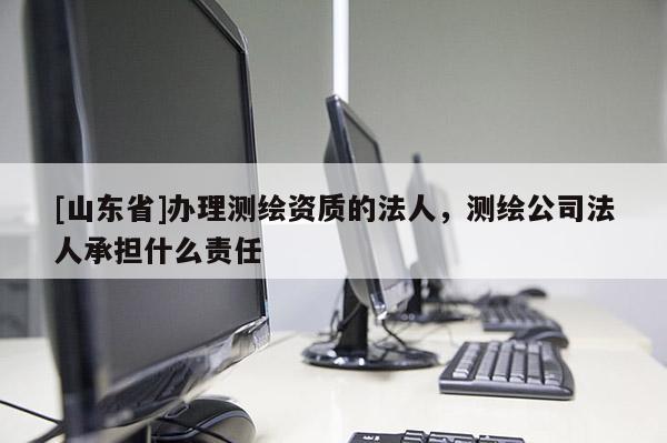 [山东省]办理测绘资质的法人，测绘公司法人承担什么责任