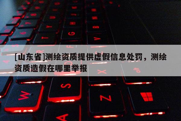 [山东省]测绘资质提供虚假信息处罚，测绘资质造假在哪里举报