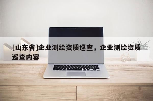 [山东省]企业测绘资质巡查，企业测绘资质巡查内容