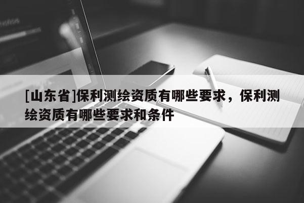 [山东省]保利测绘资质有哪些要求，保利测绘资质有哪些要求和条件