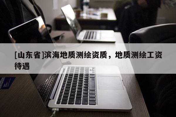 [山东省]滨海地质测绘资质，地质测绘工资待遇