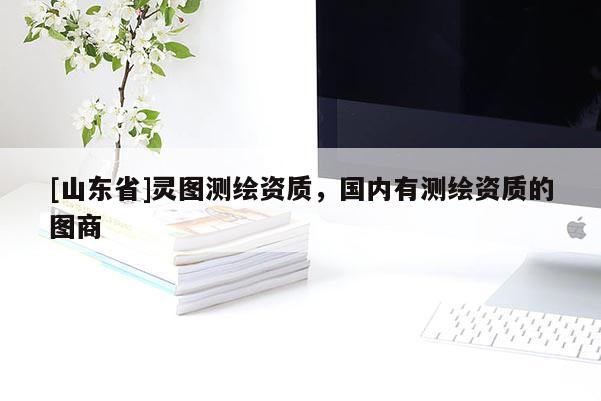 [山东省]灵图测绘资质，国内有测绘资质的图商