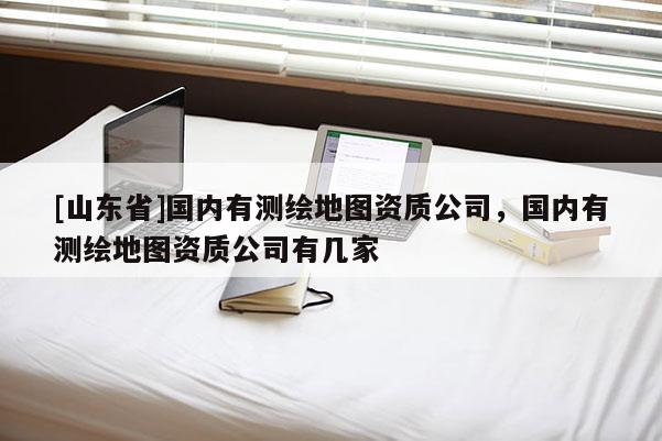 [山东省]国内有测绘地图资质公司，国内有测绘地图资质公司有几家