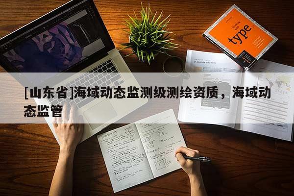 [山东省]海域动态监测级测绘资质，海域动态监管