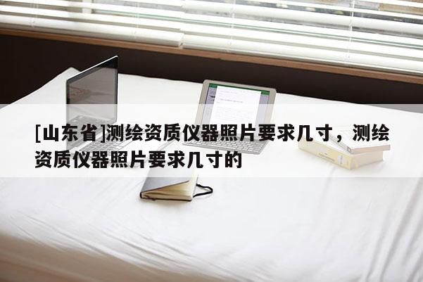 [山东省]测绘资质仪器照片要求几寸，测绘资质仪器照片要求几寸的