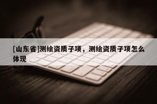 [山东省]测绘资质子项，测绘资质子项怎么体现