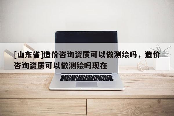 [山东省]造价咨询资质可以做测绘吗，造价咨询资质可以做测绘吗现在