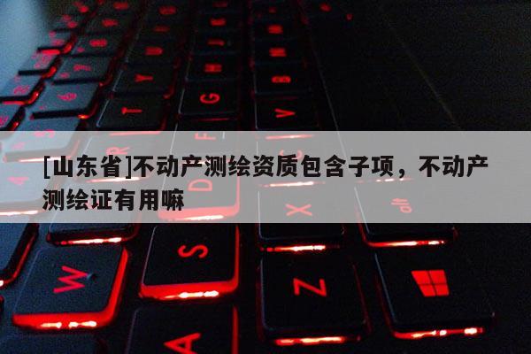 [山东省]不动产测绘资质包含子项，不动产测绘证有用嘛
