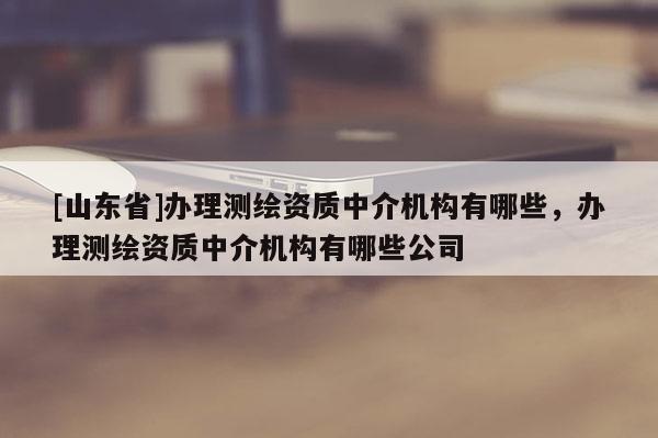 [山东省]办理测绘资质中介机构有哪些，办理测绘资质中介机构有哪些公司