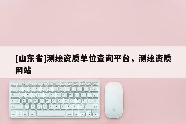 [山东省]测绘资质单位查询平台，测绘资质网站