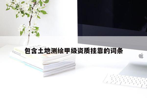 包含土地测绘甲级资质挂靠的词条