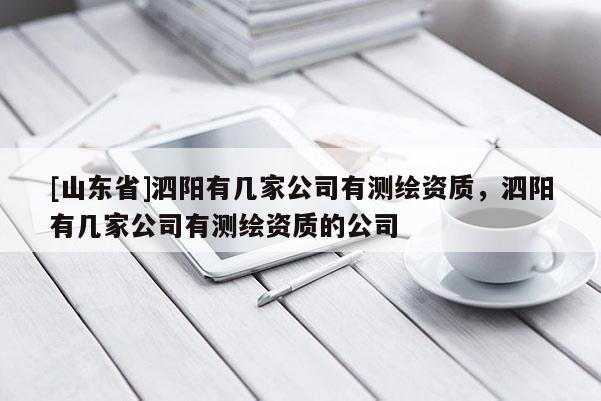 [山东省]泗阳有几家公司有测绘资质，泗阳有几家公司有测绘资质的公司