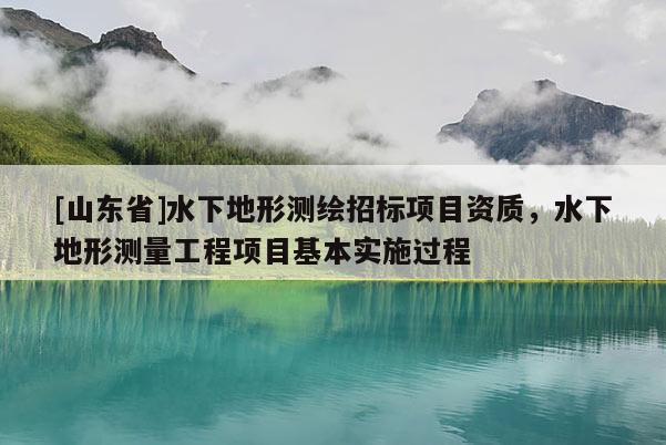 [山东省]水下地形测绘招标项目资质，水下地形测量工程项目基本实施过程