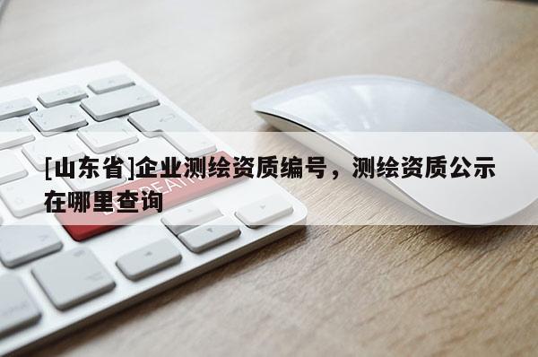 [山东省]企业测绘资质编号，测绘资质公示在哪里查询
